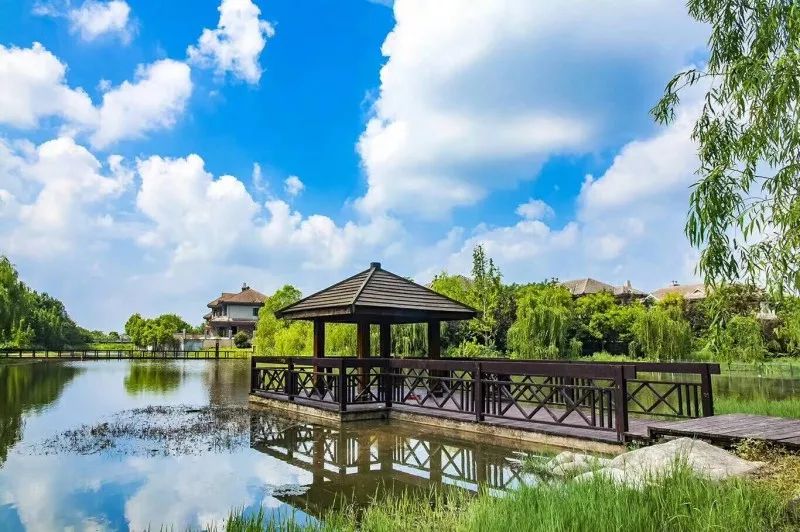 終于瞞不住!臺(tái)風(fēng)過境,一波湖州美景被發(fā)現(xiàn)…