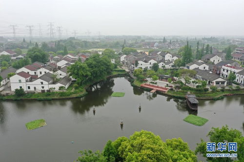 浙江湖州 推動(dòng)鄉(xiāng)村振興 促進(jìn)共同富裕