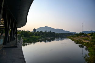 浙江湖州旅游好去處 安吉竹博園,夜游竹林秘境你一定沒體驗過